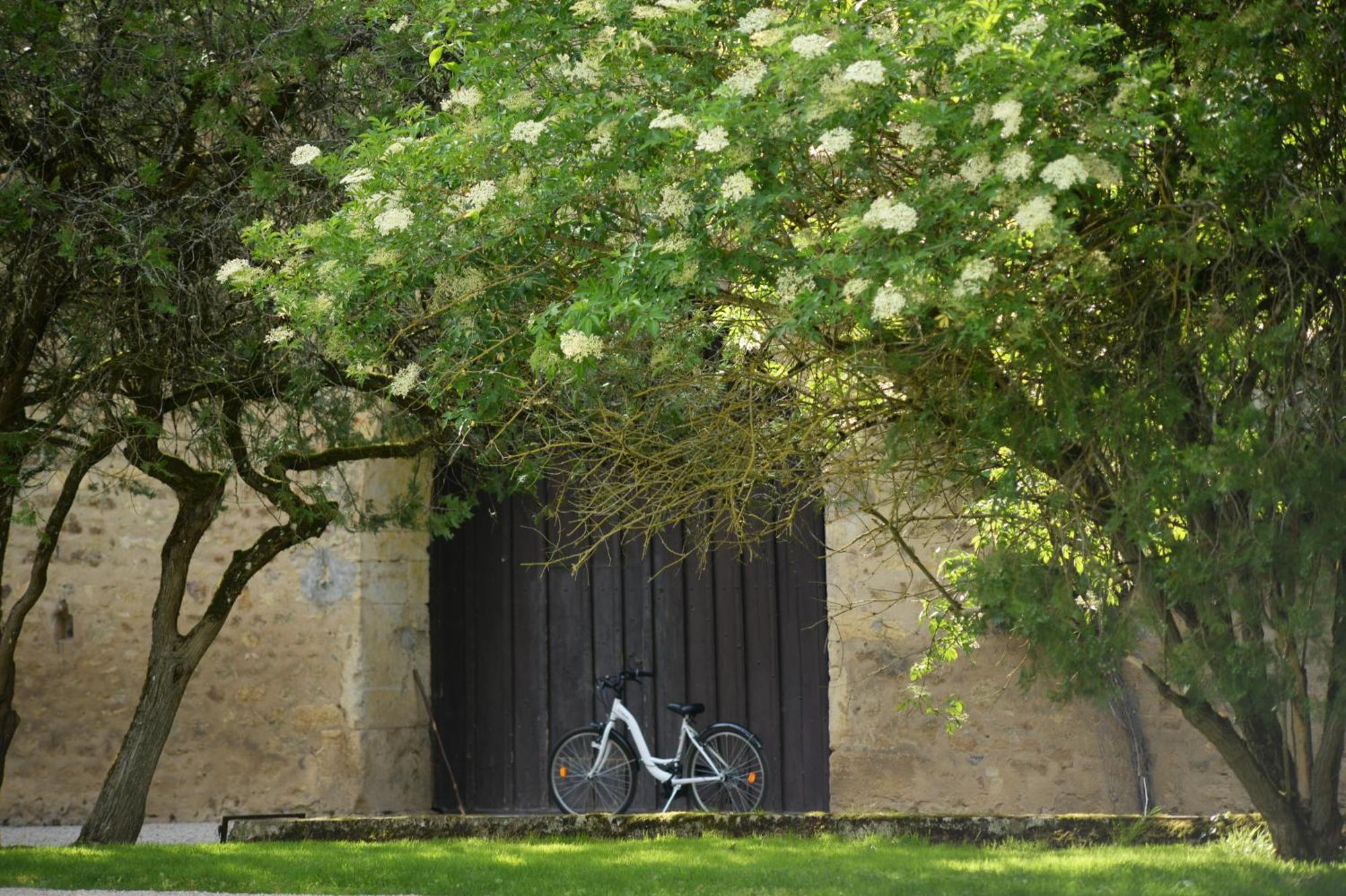 Chateau De Vault De Lugny Hotel Exterior photo